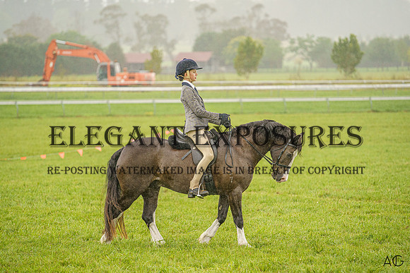 _AJG6706
