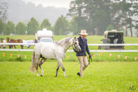 Bowral Show - Hack Ring 1 -  8:30am-10:30am 14.01.2024