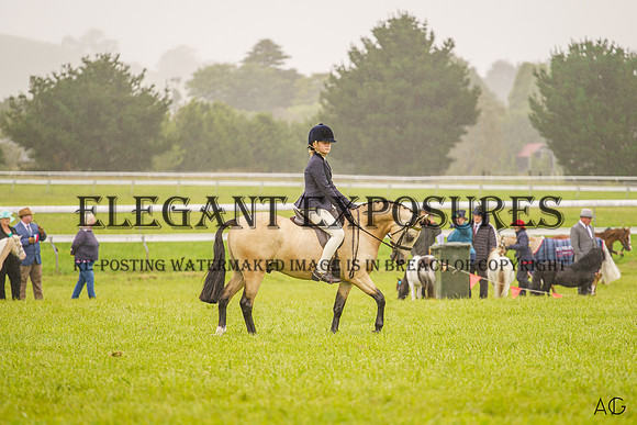 _AJG5425