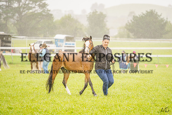 _AJG6469