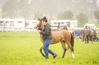 _AJG6464