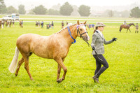 Bowral Show - Hack Ring 1 -  12:31pm-Finish 14.01.2024