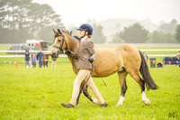 Bowral Show - Hack Ring 1 -  14.01.2024