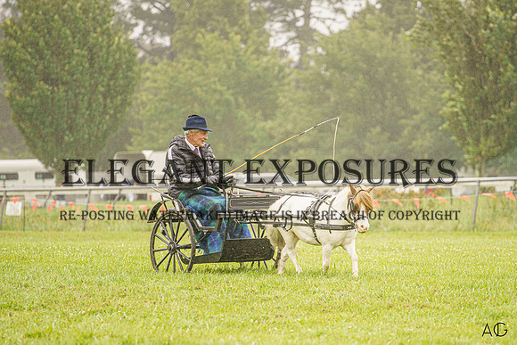 _AJG6039