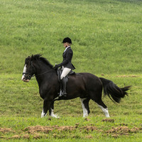 MKG_5140