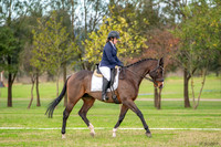 OLS_2381