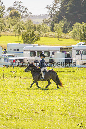 _AJG2819