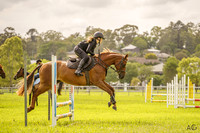 Syd 3DE Clinics - Show Jumping Saturday 20.01.2024