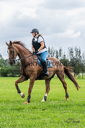 HM_1773