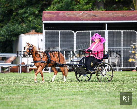 RII_0031