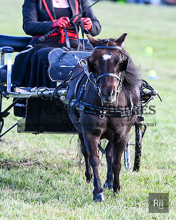 RII_0074