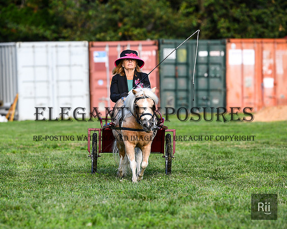 RII_0082