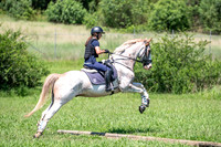 OLS_8553