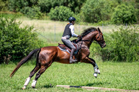 OLS_8555