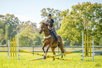 Syd 3DE Clinics - Show Jumping Sunday 21.01.2024