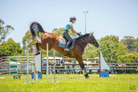 Syd 3DE Clinics - Show Jumping - 20th-21st.01.2024