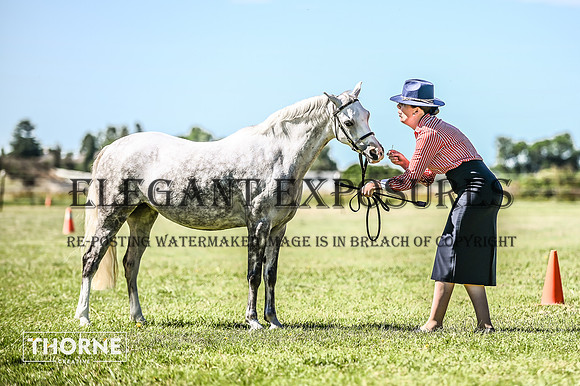 TMH-424
