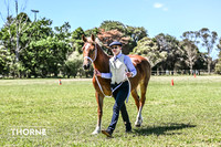 APSB - Goulburn - Ring 3 - 21.01.2024