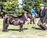 APSB - Goulburn - Ring 1 - 21.01.2024