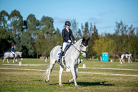 OLS_2699