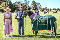 APSB Show Goulburn 21.01.2024