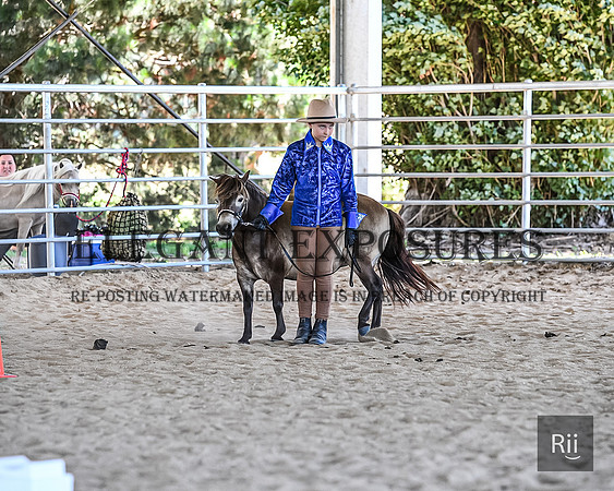 RII_0946