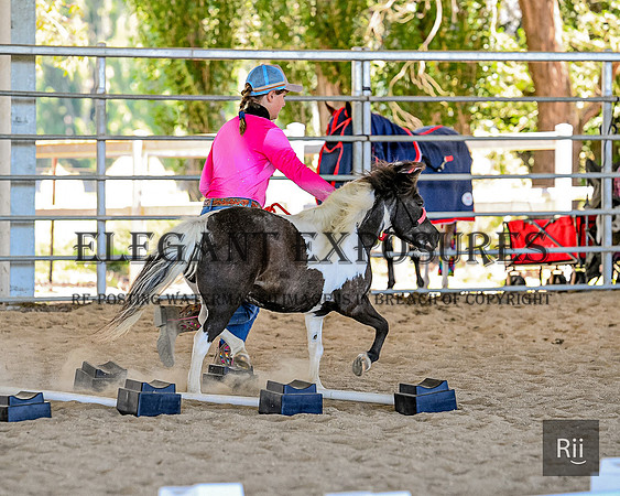 RII_0963