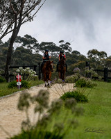 Open Gallop clinics
