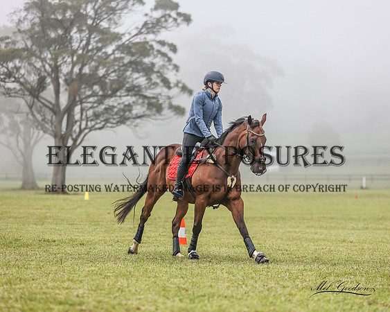 MKG_3765