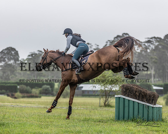 MKG_2461