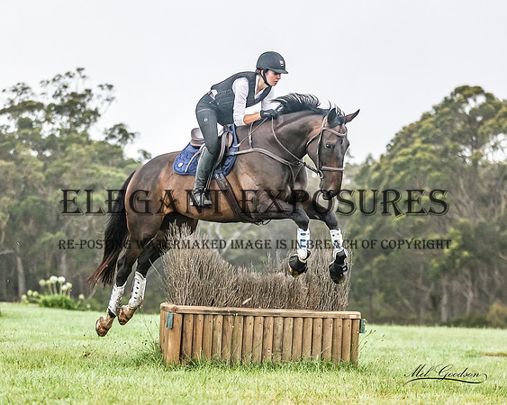 MKG_4265