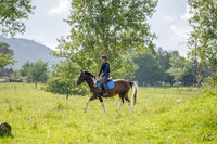 _AJG9907
