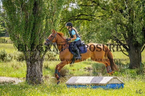 _AJG0858