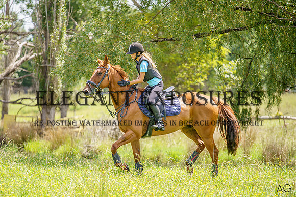 _AJG0865