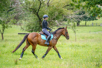 _AJG1452