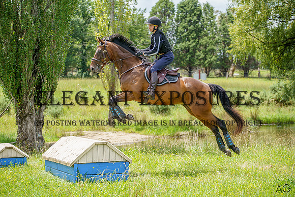 _AJG1517
