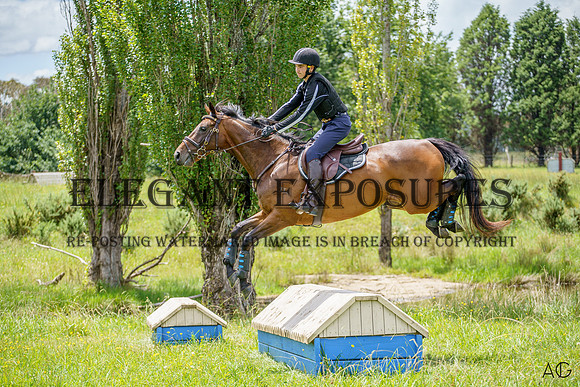_AJG1519