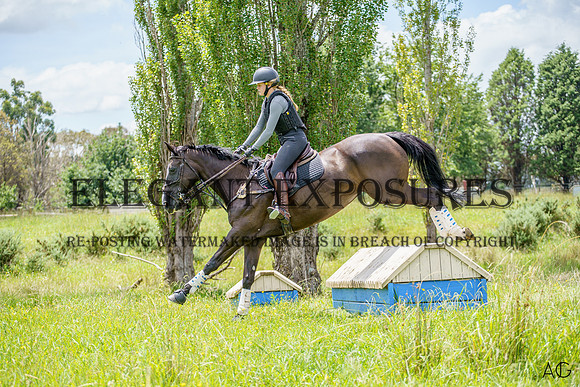 _AJG1527