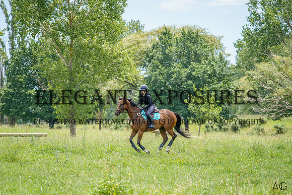 _AJG1637