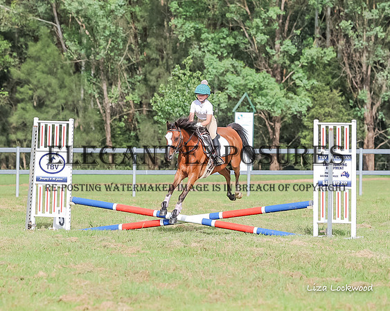LHL(MS)-8795