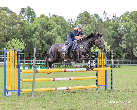 LHL(MS)-2138