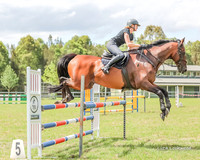 LHL(MS)-2037