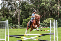 BRC- Twilight Jumping - 70cm 30.01.2024