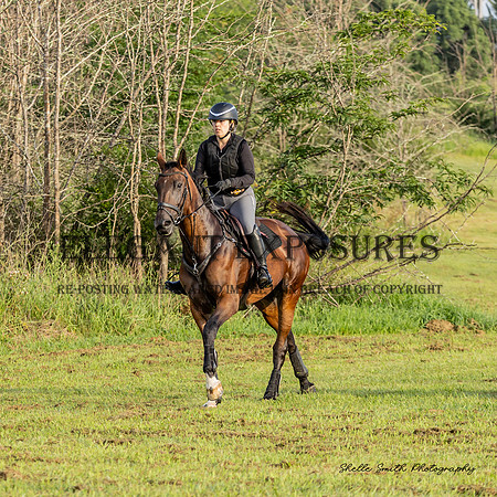 MAS_8076