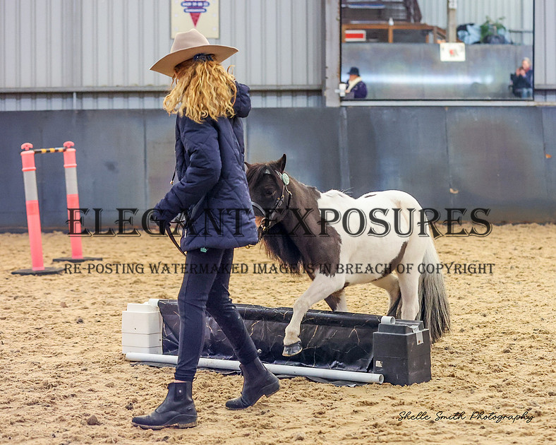 Elegant Exposures | AMHS - Winter - Trail 30.06.2024