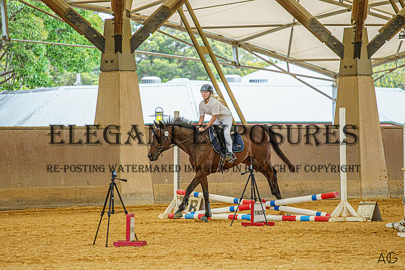 _AJG8085