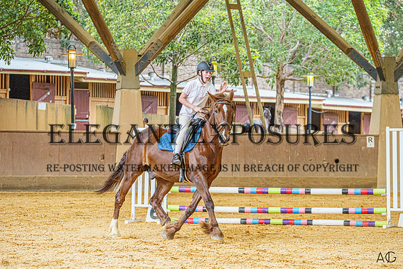 _AJG8165