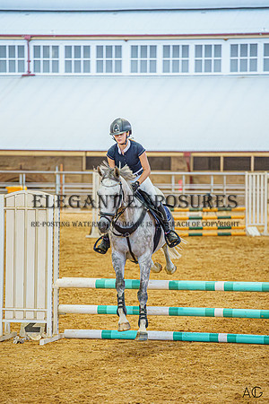 _AJG8338