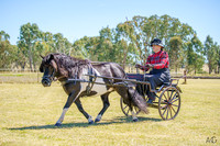 WPCS-Western - Ring 3 11/02/2024