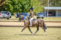 _AJG0966